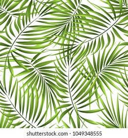Seamless pattern of a tropical palm tree, jungle leaves. Vector floral pattern.