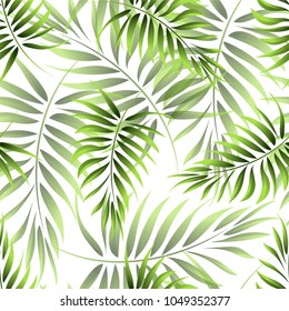 Seamless pattern of a tropical palm tree, jungle leaves. Vector floral pattern.