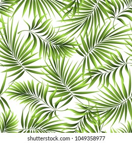 Seamless pattern of a tropical palm tree, jungle leaves. Vector floral pattern.