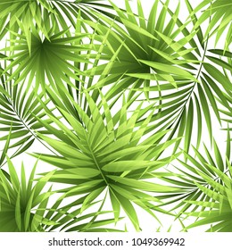 Seamless pattern of a tropical palm tree, jungle leaves. Vector image.