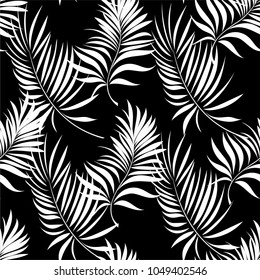 Seamless pattern of a tropical palm tree, jungle leaves. Black and white vector image.