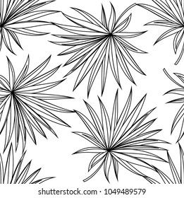 Seamless pattern of a tropical palm tree, jungle leaves. Monochrome vector image.