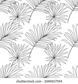 Seamless pattern of a tropical palm tree, jungle leaves. Monochrome vector image.