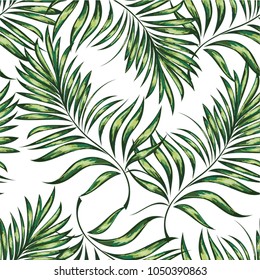 Seamless pattern of a tropical palm tree, jungle leaves. Vector floral pattern.