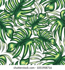 Seamless pattern of a tropical palm tree, jungle leaves. Vector floral pattern.
