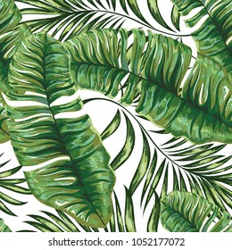 Seamless pattern of a tropical palm tree, jungle leaves. Vector floral pattern.