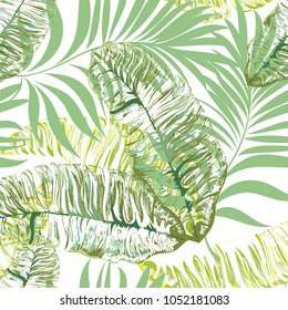 Seamless pattern of a tropical palm tree, jungle leaves. Vector floral pattern.  Hand drawing.