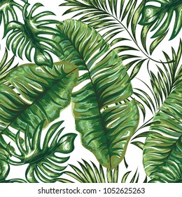 Seamless pattern of a tropical palm tree, jungle leaves. Vector floral pattern. Hand drawing.