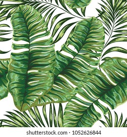 Patrón sin problemas de palmera tropical, hojas de selva.Patrón floral vectorial. Dibujo manual.
