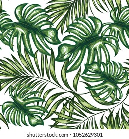 Seamless pattern of a tropical palm tree, jungle leaves. Vector floral pattern.  Hand drawing.