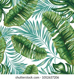 Seamless pattern of a tropical palm tree, jungle leaves. Vector floral pattern. Hand drawing.