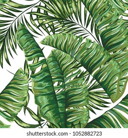 Seamless pattern of a tropical palm tree, jungle leaves. Vector floral pattern.  Hand drawing.