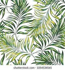 Seamless pattern of a tropical palm tree, jungle leaves. Vector floral pattern. Hand drawing.