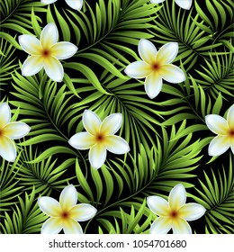 Seamless pattern of a tropical palm tree, jungle leaves. Vector floral pattern. Hand drawing.