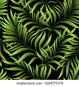 Seamless pattern of a tropical palm tree, jungle leaves. Vector floral pattern.  Hand drawing.