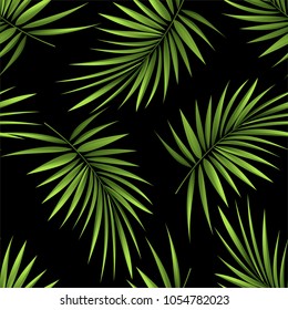 Seamless pattern of a tropical palm tree, jungle leaves. Vector floral pattern.  Hand drawing.