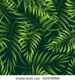 Seamless pattern of a tropical palm tree, jungle leaves. Vector floral pattern.  Hand drawing.