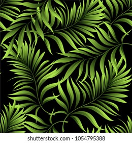 Seamless pattern of a tropical palm tree, jungle leaves. Vector floral pattern.  Hand drawing.