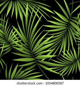 Seamless pattern of a tropical palm tree, jungle leaves. Vector floral pattern.  Hand drawing.