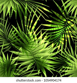 Seamless pattern of a tropical palm tree, jungle leaves. Vector floral pattern.  Hand drawing.