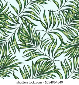 Seamless pattern of a tropical palm tree, jungle leaves.   Hand drawing.  