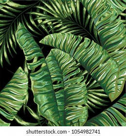 Seamless pattern of a tropical palm tree, jungle leaves.   Hand drawing.