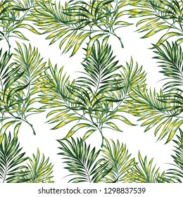 Seamless pattern of a tropical palm tree, jungle leaves. Hand drawing. Vector floral pattern.