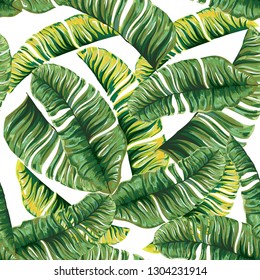 Seamless pattern of a tropical palm tree, jungle leaves. Vector floral pattern.