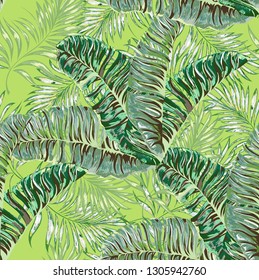 Seamless pattern of a tropical palm tree, jungle leaves. Vector floral pattern.