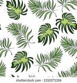 Seamless pattern of a tropical palm tree, jungle leaves. Vector floral pattern.