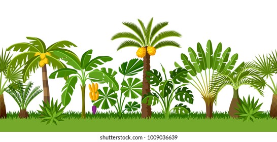Seamless pattern with tropical palm trees. Exotic tropical plants Illustration of jungle nature.