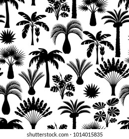 Seamless pattern with tropical palm trees. Exotic tropical plants Illustration of jungle nature.