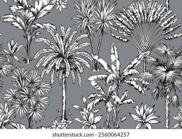 Seamless pattern with tropical palm trees.Hawaiian background. Black and white hand drawn sketch.Foliage design.Vector botanical illustration.