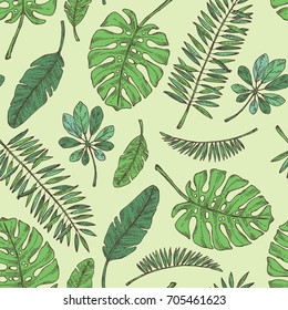 Seamless pattern with tropical plant and  tropical leaves. Vector set hand drawn illustration.
