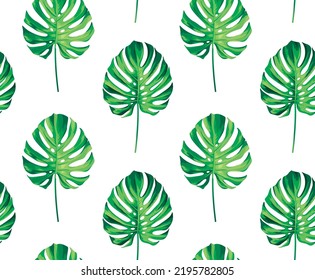 Nahtlose Muster mit tropischen Pflanzen. Monstera Blätter auf weißem Hintergrund. Realistische botanische Illustration. Vektorhawaiianischer Sommerhintergrund.