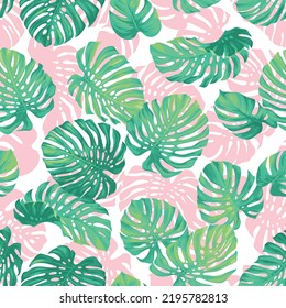 Seamless pattern with tropical plants. Monstera leaves on a white background. Realistic botanical illustration. Vector Hawaiian summer backdrop.
