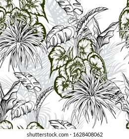 Seamless pattern with tropical plants, palm trees and monstera leaves. Hand drawn vector illustration.