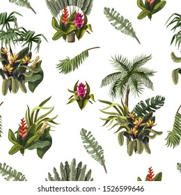 Seamless pattern with tropical trees and flowers. Vector.