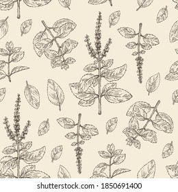 Seamless pattern with tulasi: holy basil plant and tulasi leaves. Sacred plant. Cosmetic and medical plant. Vector hand drawn illustration