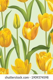 Seamless pattern of Tulip flower background template on green background. Vector set of floral element for wedding invitations, greeting card, brochure, banners and fashion design.