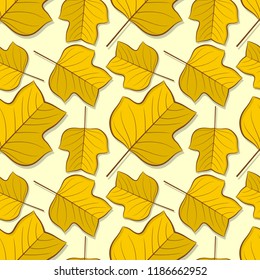 Seamless pattern with tulip poplar autumn leaves. Vector illustration.