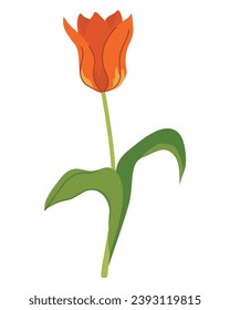 Seamless pattern with tulips and daffodils. Vector spring flowers on a black background. Illustration for printing on fabric, wallpaper, wrapping paper. Flat style.