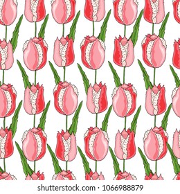 Seamless pattern with tulips flowers pink and white and green leaves on a white background. Infinite texture for the design of the season. Vector illustration