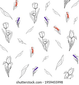 Seamless pattern with tulips and irises silhouettes drawing in graphics style. Botanical pattern isolated on white background