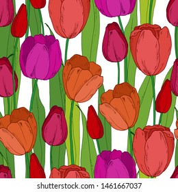 seamless pattern with tulips. spring pattern