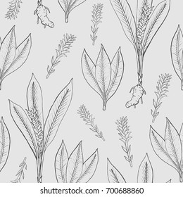 Seamless pattern with turmeric. Medical botanical plant, root, leaves. hand drawn black and white texture.
