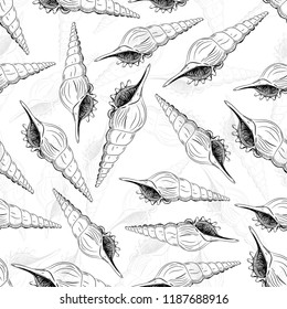 seamless pattern Turrid Vetigastropoda is a major taxonomic group of sea snails Unique shells, molluscs. Sketch black contour on white background. Vector illustration