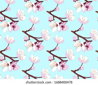 Seamless pattern of twigs with pink white cherry blossom in the spring on a light blue background. Blue background can be replaced by another color. Sakura.