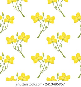 Nahtloses Muster, Zweige mit gelben Senfblumen auf weißem Hintergrund. Print, Hintergrund, Vektorgrafik