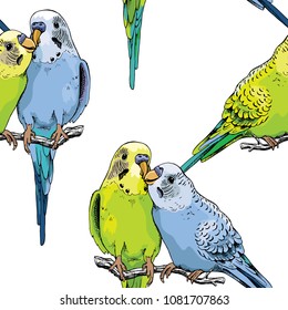 Seamless pattern. Two Beautiful little green and blue Wavy Parrots kiss on a white background. Vector illustration.